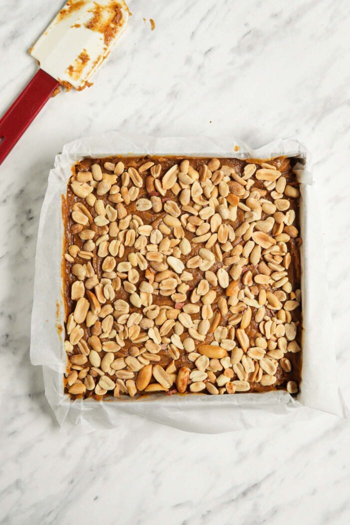 Peanuts spread over a layer of caramel in a baking pan.